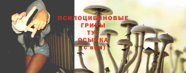 сатива Нягань