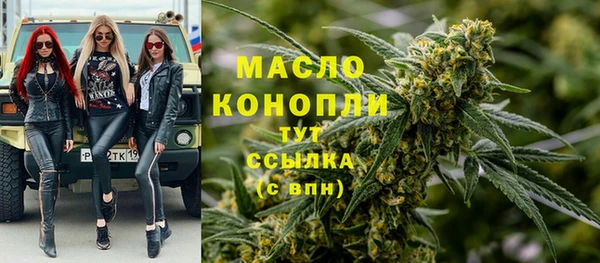 дживик Няндома