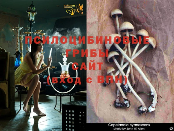 гашик Абинск