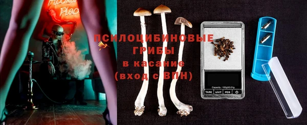 сатива Нягань
